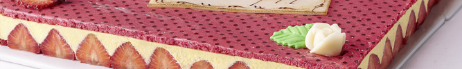 Gâteau Anniversaire Adulte
