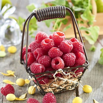 Framboises