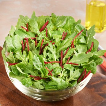 Trio mache - roquette - betterave