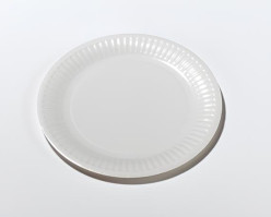 50 assiettes blanches en carton - 18cm