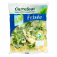 Salade frisée (Image n°2)